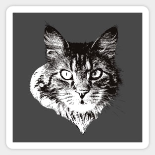 Maine Coon - Maine Coon Christmas Gifts Sticker